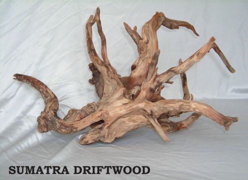 Sumatra driftwood example1.jpg